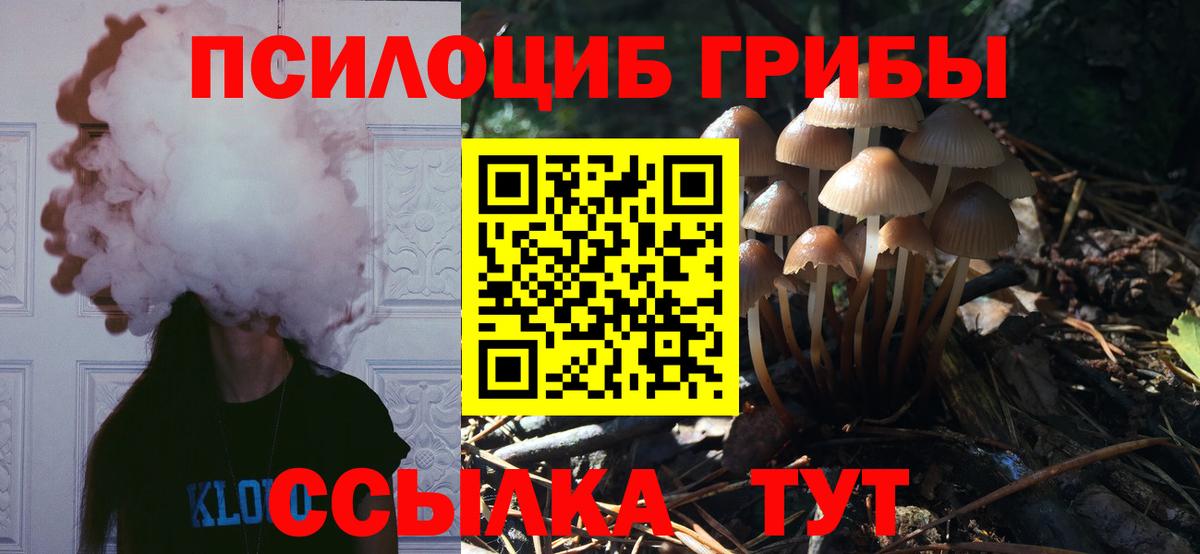 Псилоцибиновые грибы мицелий  Вход с VPN  Киселёвск 
